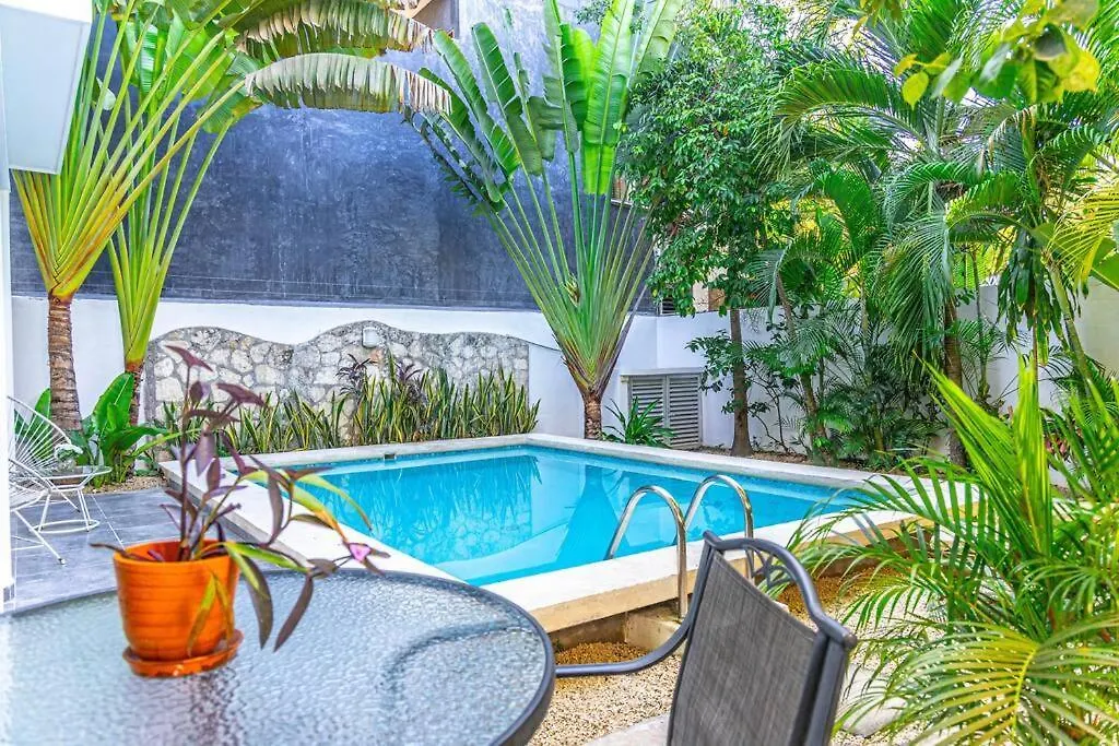 Casa Alegria By Sandy Powerful تولوم
