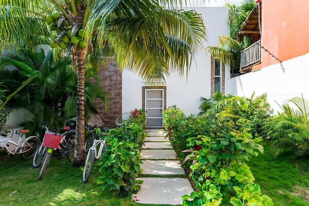 Casa Alegria By Sandy Powerful تولوم